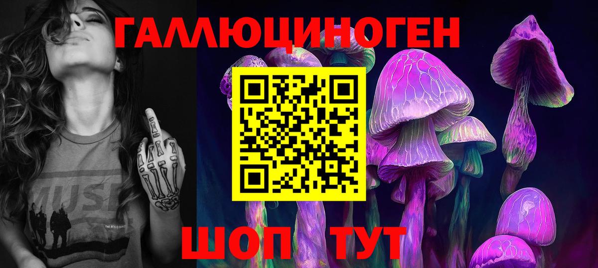 Псилоцибиновые грибы Cubensis  Вход с VPN  Псилоцибиновые грибы мухоморы  Лесной 