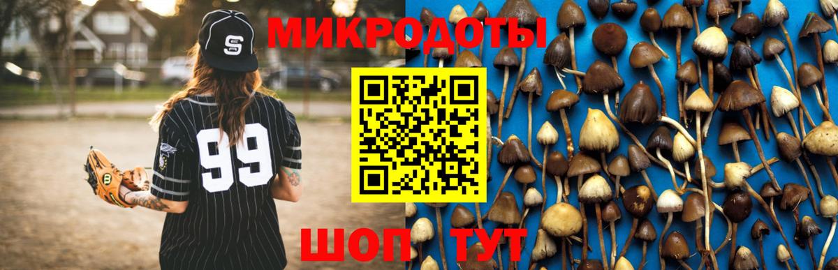 Псилоцибиновые грибы мицелий Лесной